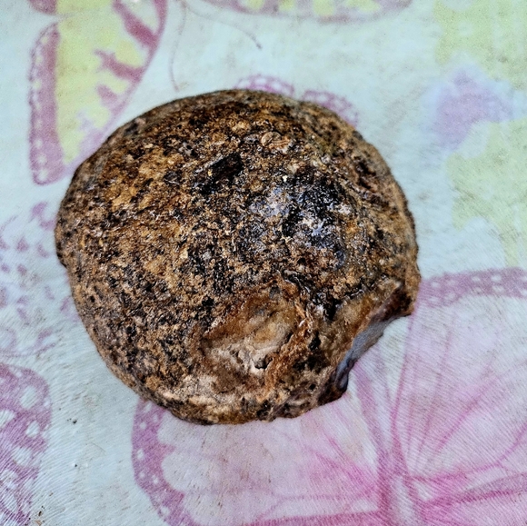 Vintage New Mexico Agate Half Sphere Geod from Native American Reservation shop - Picture 6 of 6